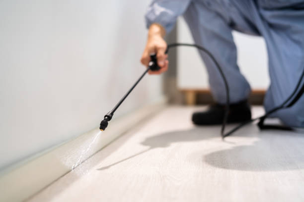 Licensed Rodent Control service in Adelphi, MD - Nex Pest Control