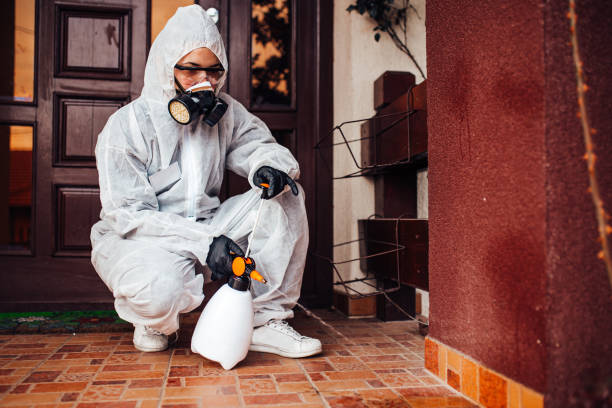 Reliable Rodent Control contractor in Adelphi, MD by Nex Pest Control